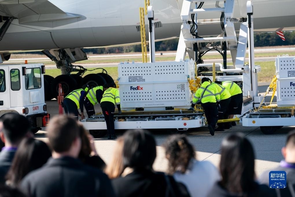 11月8日，在美國弗吉尼亞州的華盛頓杜勒斯國際機(jī)場，裝有大熊貓的特制“旅行包廂”準(zhǔn)備運(yùn)上專機(jī)。新華社記者劉杰攝