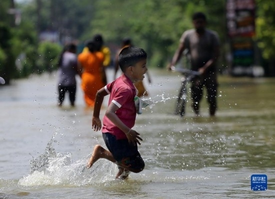 11月24日，一名男孩在斯里蘭卡加姆珀哈涉水出行。新華社發(fā)（阿吉特·佩雷拉攝）