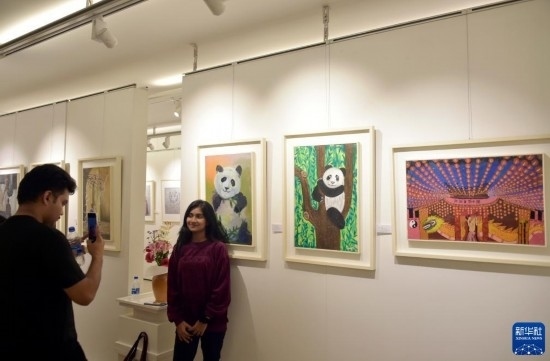 11月22日，在孟加拉國達卡，人們在“國家印象”繪畫展上參觀拍照。新華社發(fā)（薩利姆攝）