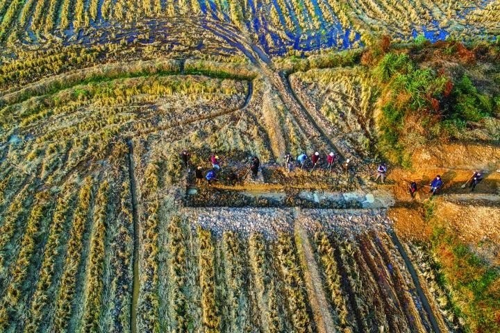 良渚遺址考古發(fā)掘現(xiàn)場。