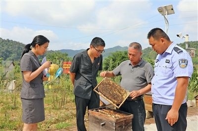  圖②：蒙山法院黃村法庭法官深入蜂蜜合作社，實(shí)地了解蜂農(nóng)需求。