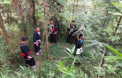 “瑤老”人民調(diào)解員翻山越嶺開展現(xiàn)場(chǎng)調(diào)解。