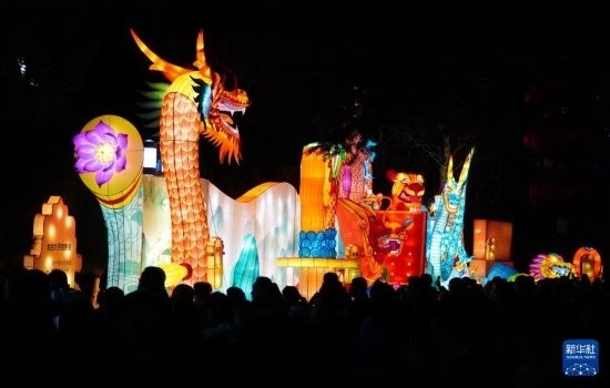 2月11日晚，人們在濟南市趵突泉公園觀賞花燈。