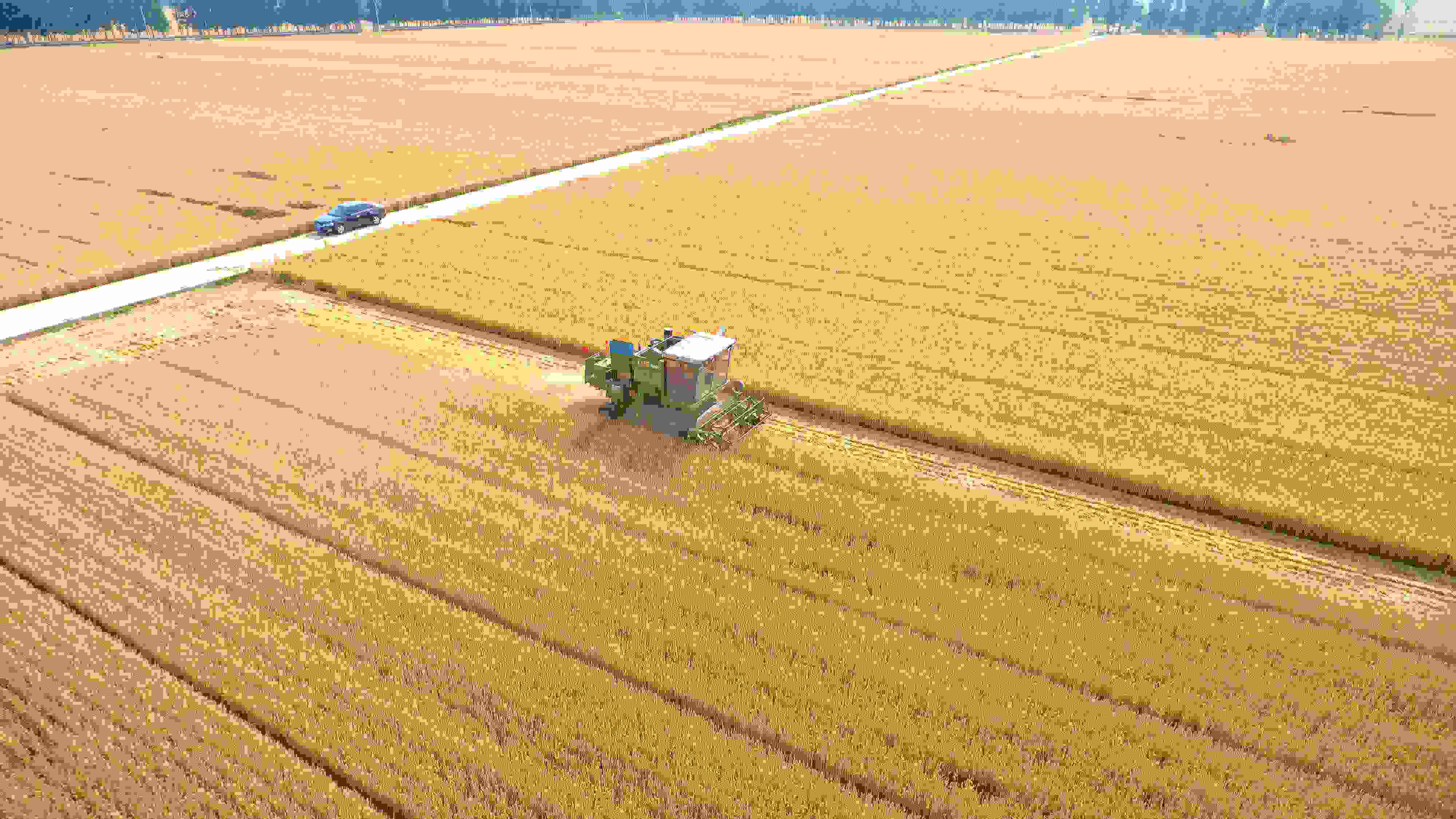 △ 2023年6月5日，山東聊城茌平區(qū)賈寨鎮(zhèn)王藥包村，收割機(jī)在田間進(jìn)行小麥?zhǔn)崭钭鳂I(yè)。