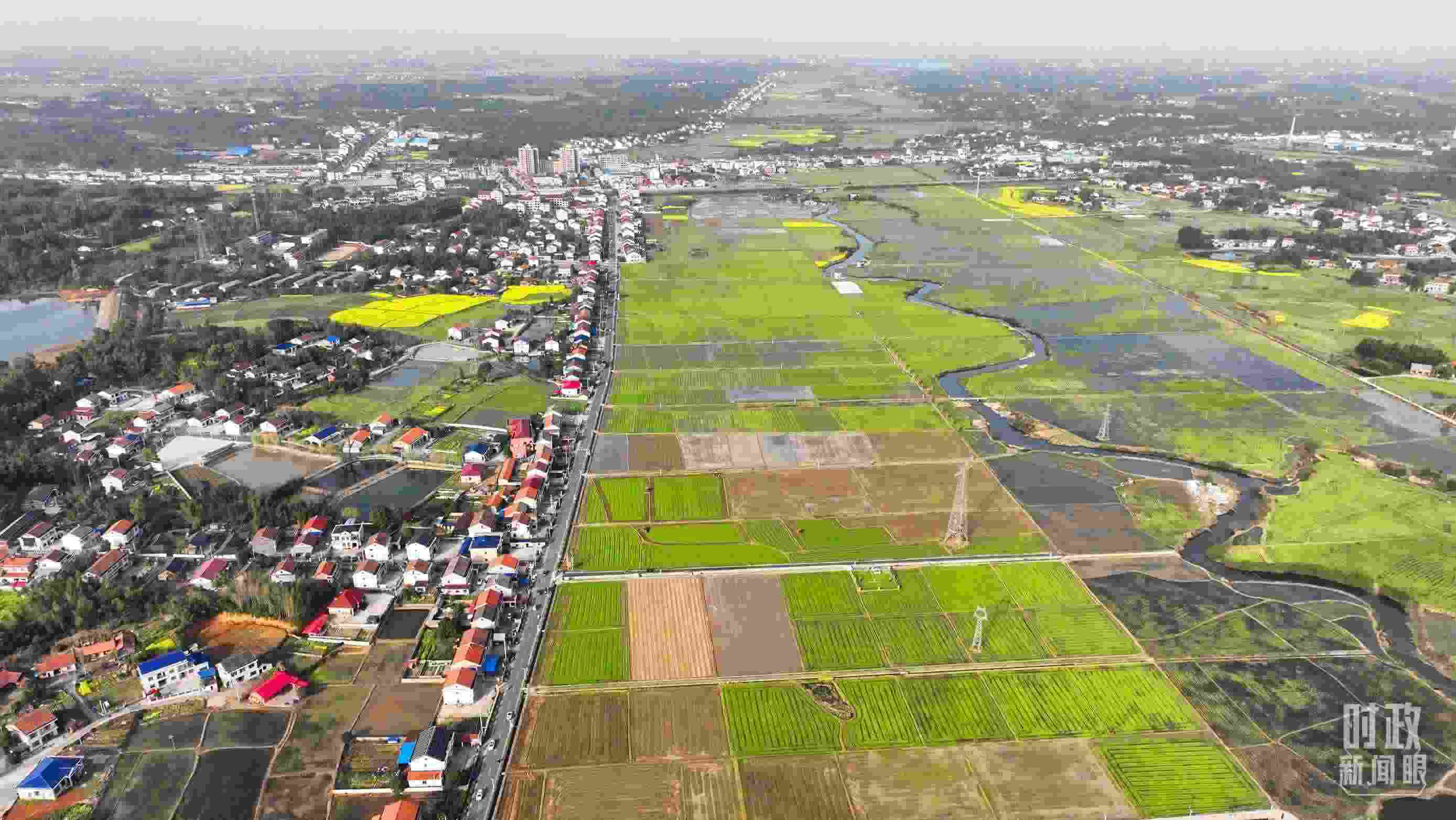 △俯瞰常德市謝家鋪鎮(zhèn)港中坪村。（總臺國廣記者李晉拍攝）