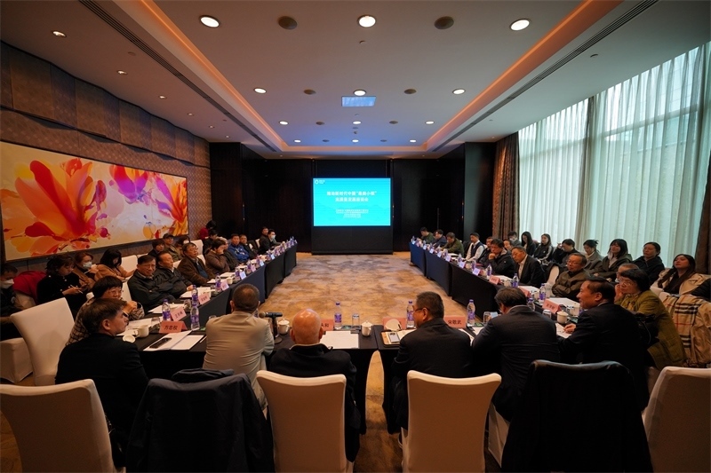 座談會(huì)現(xiàn)場(chǎng)。主辦方供圖