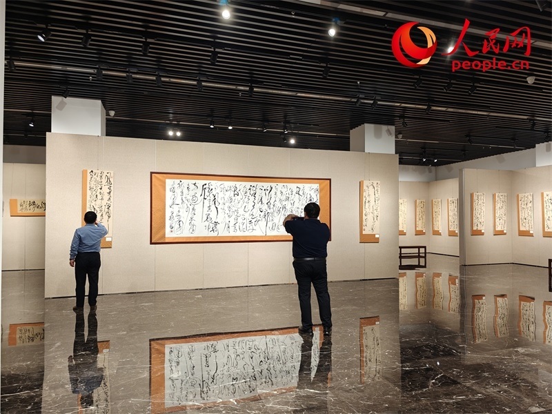 觀眾正在參觀展覽。人民網記者 韋衍行攝