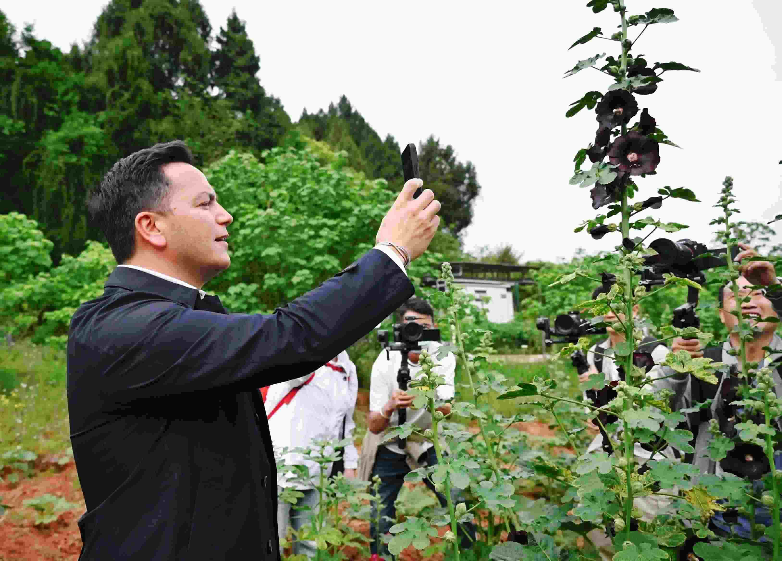  △2024年4月23日，國際園藝生產(chǎn)者協(xié)會主席萊昂納多·卡皮塔尼奧在成都市金堂縣鮮花山谷景區(qū)考察蜀葵產(chǎn)業(yè)。