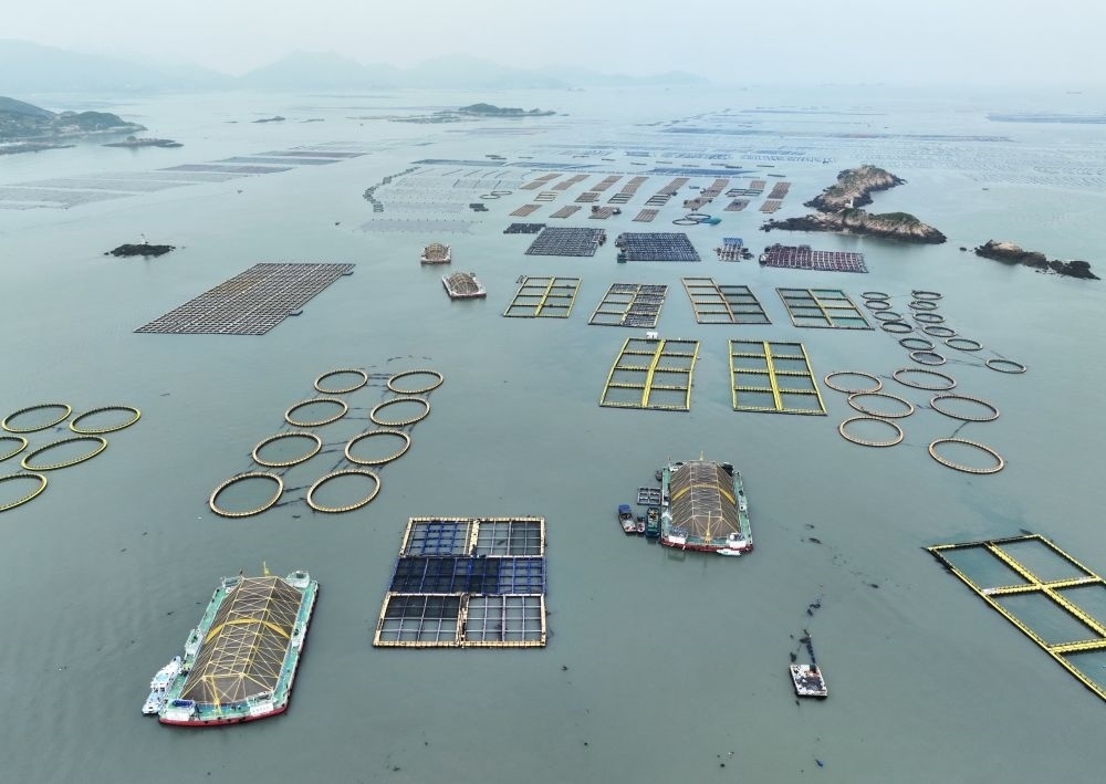 在福建連江定海灣海域，坐落著“定海灣1號”“定海灣2號”等深遠海養(yǎng)殖平臺（2024年5月7日攝，無人機照片）。新華社記者 林善傳 攝