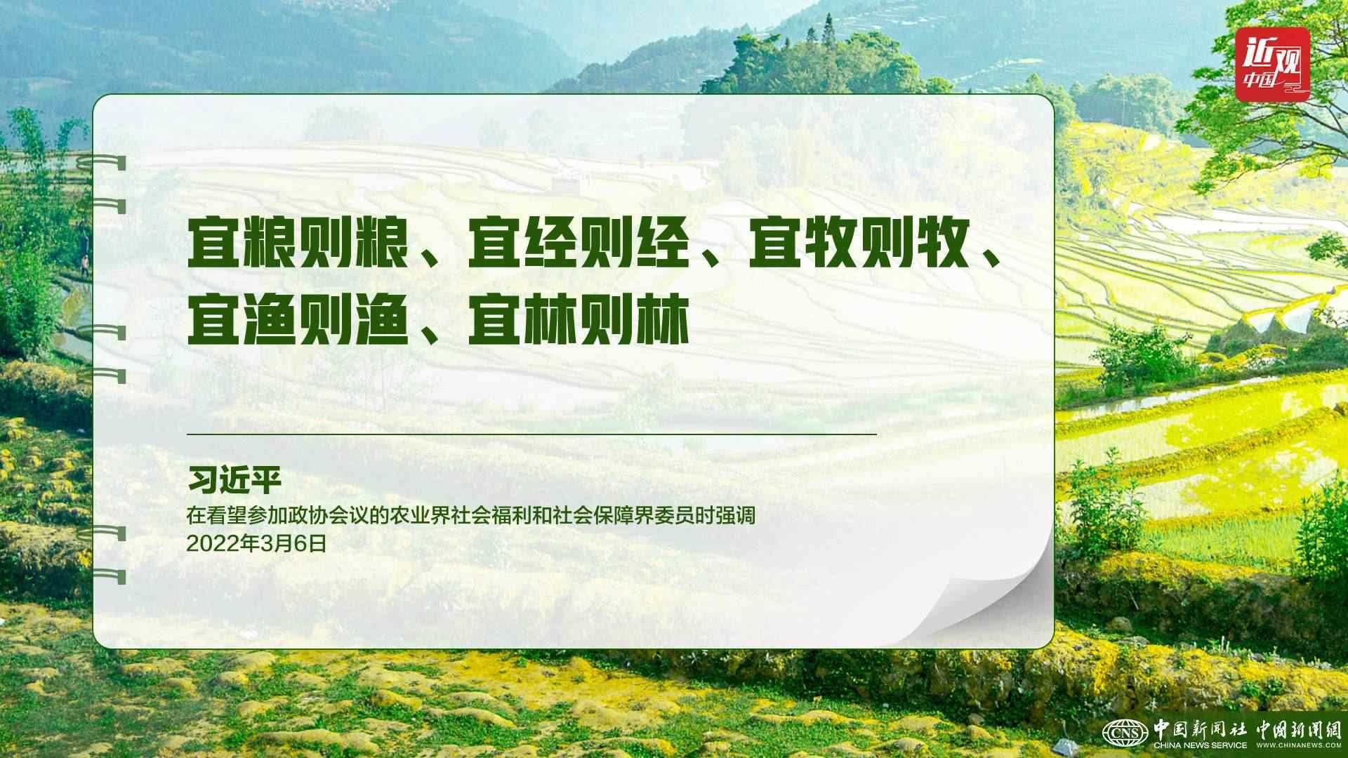 習(xí)近平：樹(shù)立大食物觀，構(gòu)建多元化食物供給體系