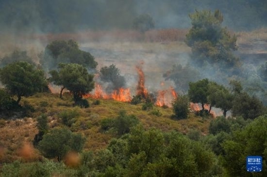 6月12日，以色列北部加利利地區(qū)遭受火箭彈襲擊后冒出滾滾濃煙。新華社發(fā)（阿亞爾·馬戈林?jǐn)z/基尼圖片社）