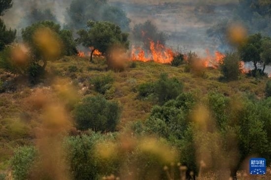 6月12日，以色列北部加利利地區(qū)遭受火箭彈襲擊后冒出滾滾濃煙。新華社發(fā)（阿亞爾·馬戈林?jǐn)z/基尼圖片社）