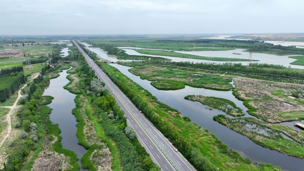 這是2024年6月13日拍攝的黃河寧夏段濱河大道（無人機(jī)照片）。近年來，寧夏努力建設(shè)黃河流域生態(tài)保護(hù)和高質(zhì)量發(fā)展先行區(qū)，全力打好黃河保護(hù)持久戰(zhàn)。新華社記者 王鵬 攝