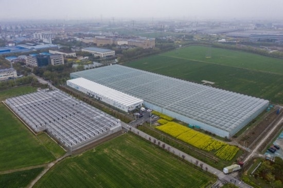 2024年3月28日，空中俯瞰嘉興南湖區(qū)湘家蕩農(nóng)業(yè)數(shù)字化工廠（無(wú)人機(jī)照片）。該農(nóng)業(yè)數(shù)字化工廠占地總面積約62畝，包含智慧農(nóng)業(yè)生產(chǎn)、物聯(lián)網(wǎng)智能管理、自動(dòng)分揀包裝、保鮮儲(chǔ)藏物流、高科技示范展示等五大功能區(qū)，可直接或間接培養(yǎng)帶動(dòng)新型職業(yè)技術(shù)農(nóng)民500人以上。新華社記者 徐昱 攝