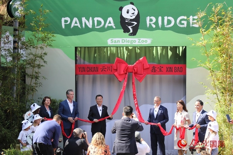 1、中國駐美國大使謝鋒、加州州長紐森、圣迭戈市市長格洛利亞等人共同為“熊貓嶺”開館剪彩。 人民網(wǎng)記者 李志偉攝