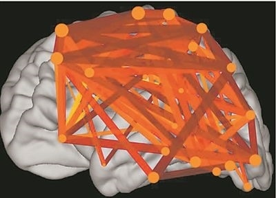 圖上的線條代表大腦皮層中與語言處理相關(guān)的各個(gè)區(qū)域之間的連接。當(dāng)閱讀時(shí),這些區(qū)域的神經(jīng)元會以精確同步的方式激發(fā),這種現(xiàn)象被稱為共同漣漪。圖片來源:加州大學(xué)圣迭戈分校