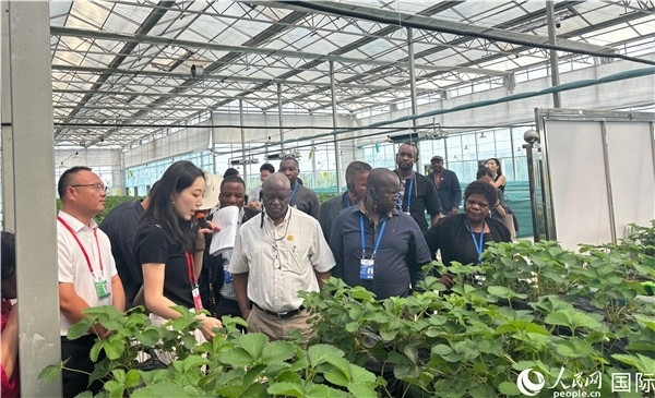 研討班成員在大棚中了解植物種植技術(shù)。人民網(wǎng) 曹欣悅攝