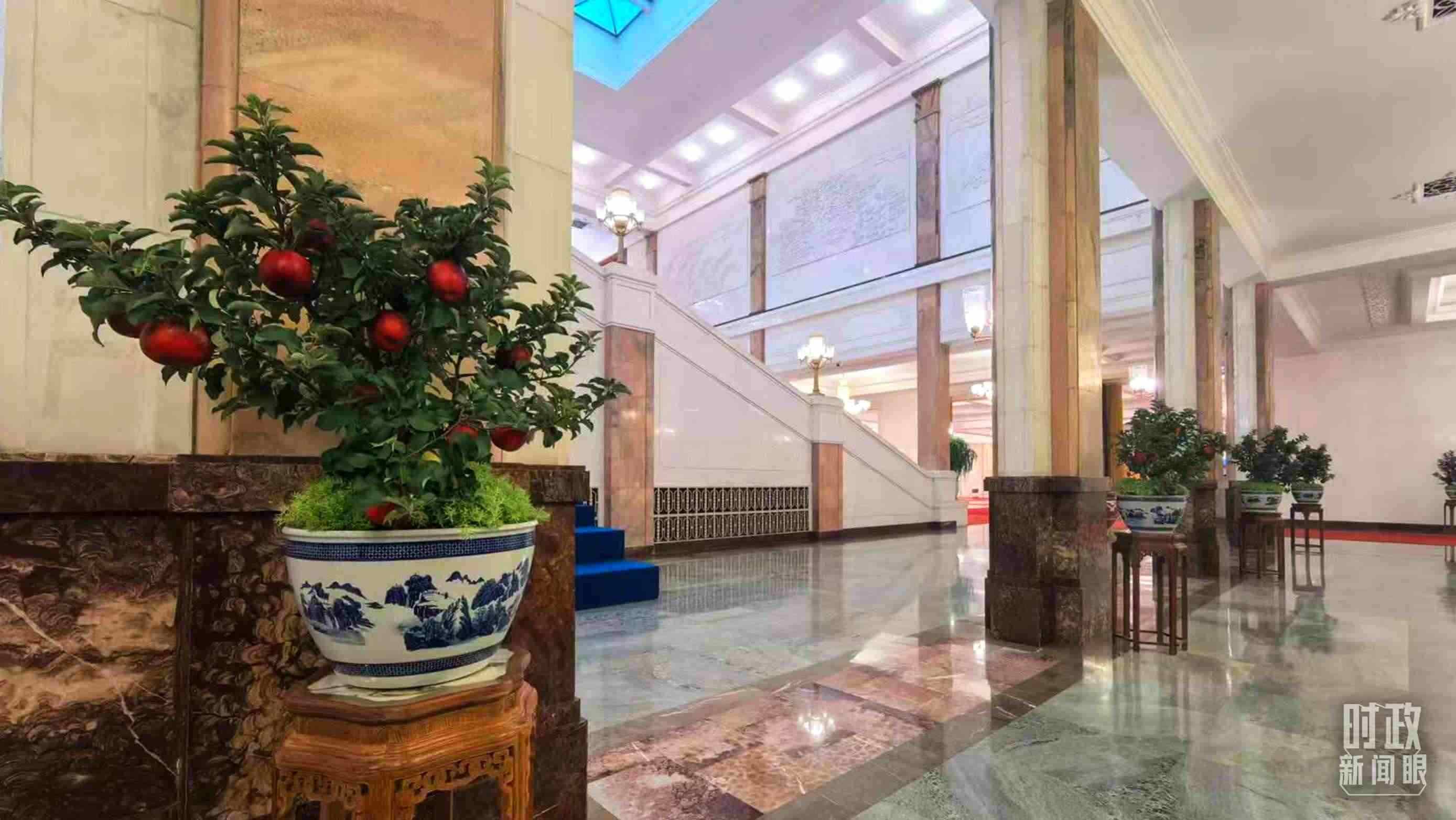  △大會(huì)堂內(nèi)的“碩果累累”盆栽。（總臺(tái)國(guó)廣記者吳倩拍攝）