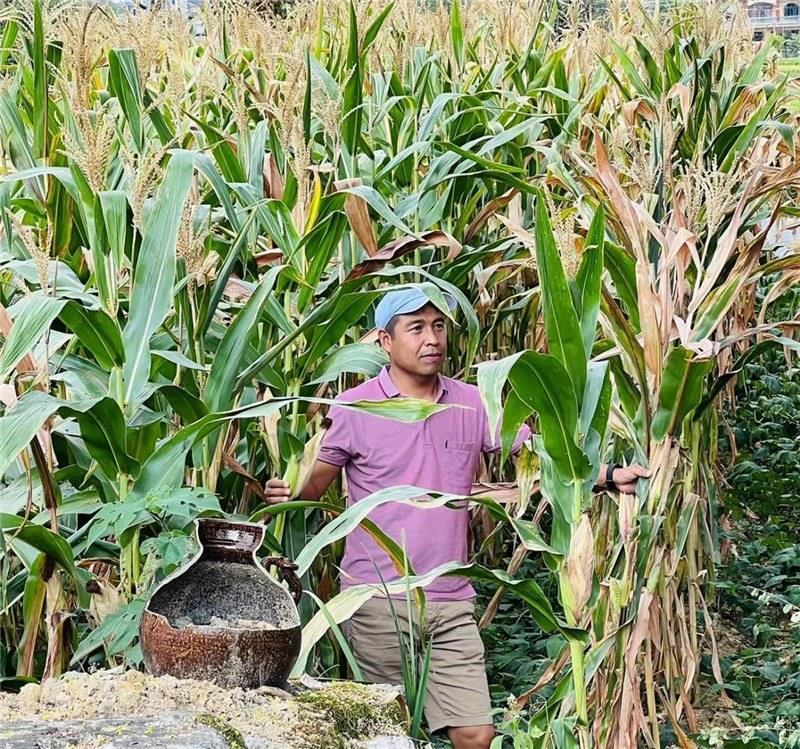 不是攀登石林高臺(tái)，就是鉆入玉米莊稼地，吉爾吉斯斯坦《自由之山報(bào)》總編輯納拉雷·阿桑巴耶夫“身手不凡”，與生長(zhǎng)旺盛的玉米構(gòu)成了花茂村的鄉(xiāng)間野趣。（張亞欣攝）