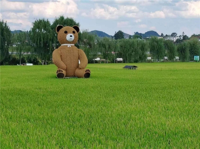 稻穗搖曳，垂柳依依，山嵐多姿，好一幅歲月靜好山鄉(xiāng)恬靜圖。這憨厚俏皮的熊玩偶造型，像是亂入其中，形成現(xiàn)代與傳統(tǒng)、好動(dòng)與寧?kù)o的反差感，讓人過(guò)目不忘，也讓人莞爾一笑。（哈薩克斯坦鳳凰24新聞社總編輯兼首席執(zhí)行官克馬爾·馬山羅攝）