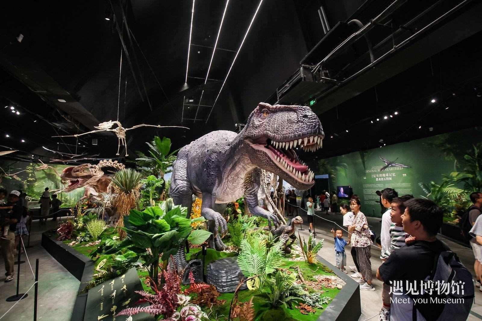 2. 游客參觀“2億年的地球記憶——恐龍化石特展”。遇見博物館供圖