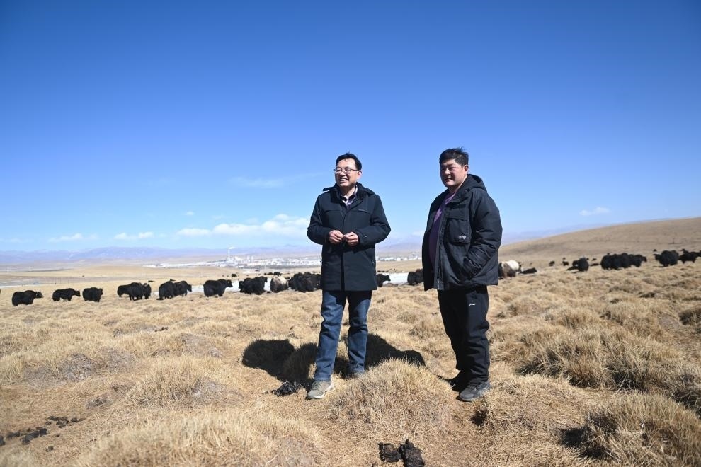 2023年2月24日，在青海省海北藏族自治州海晏縣青海湖鄉(xiāng)達玉日秀村，全國人大代表董全民（左）查看牧民東知布家的草場。新華社記者 張龍 攝