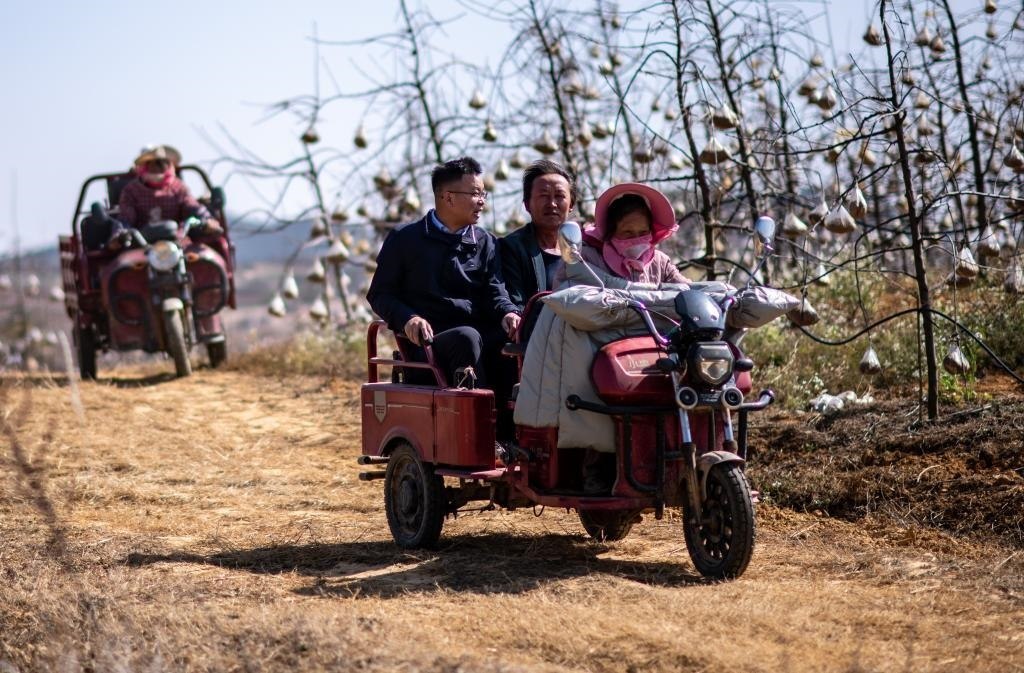 全國人大代表袁海波（右三）在云南省曲靖市馬龍區(qū)一種植基地了解務工人員就業(yè)需求（2023年2月11日攝）。新華社記者 江文耀 攝