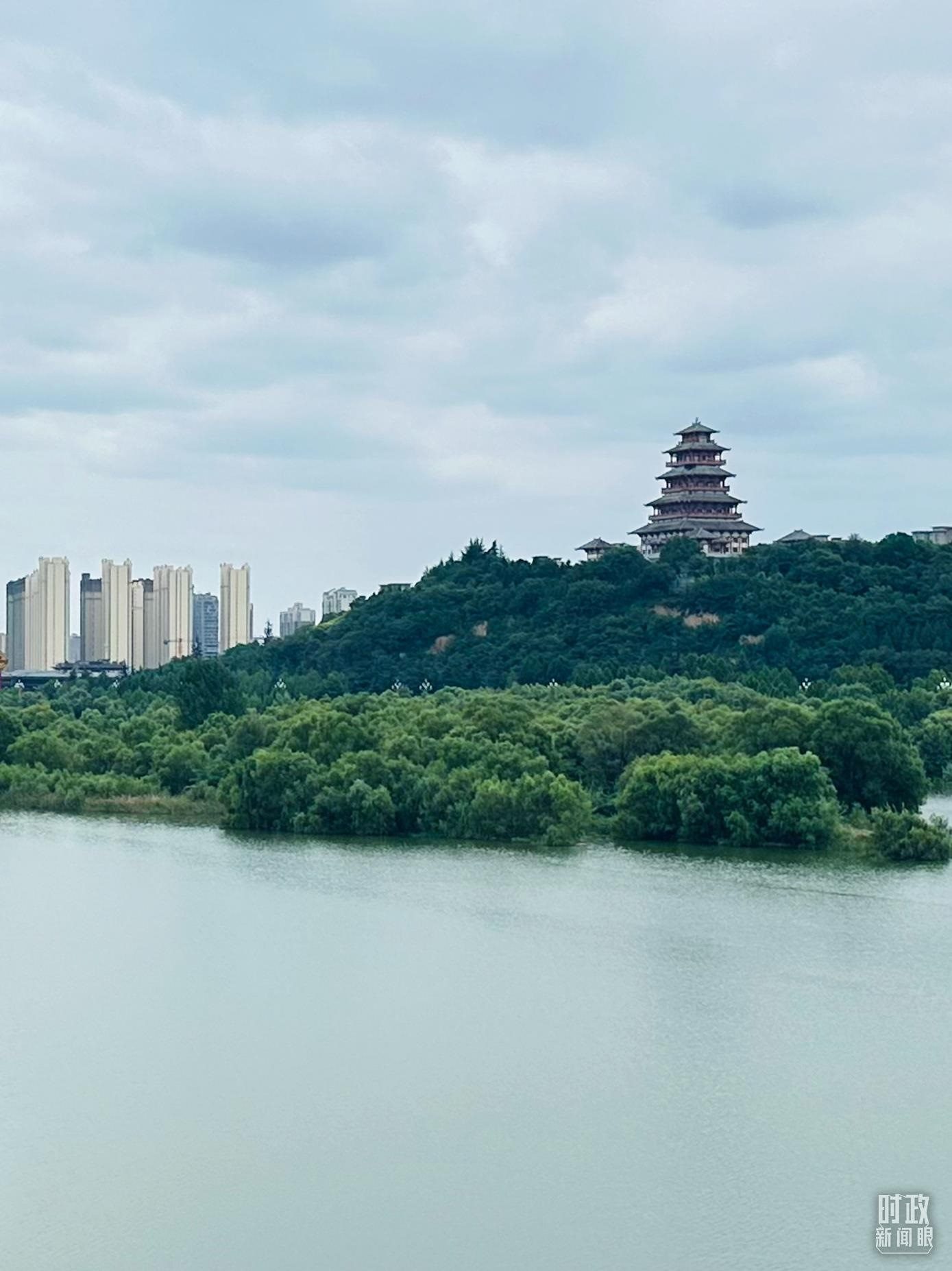 △渭河寶雞段長224公里，目前建成17處渭河灘區(qū)生態(tài)涵養(yǎng)區(qū)。（總臺央視記者范一鳴拍攝）