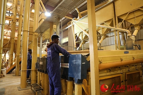 在Bule Hora咖啡加工廠里工作的當(dāng)?shù)毓と藗?。人民網(wǎng)記者 沈小曉攝