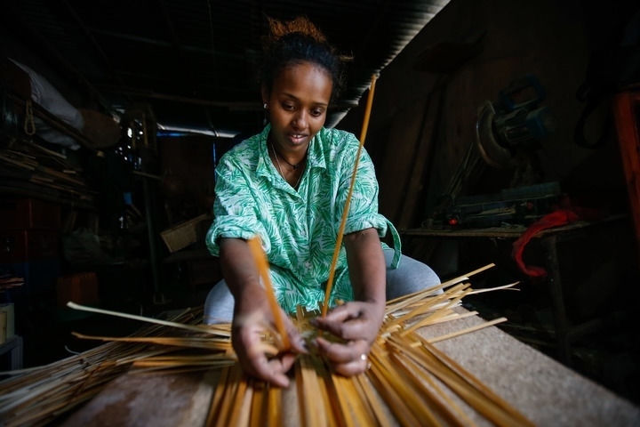 2024年8月10日，菲基爾特·加布雷在埃塞俄比亞首都亞的斯亞貝巴名為“綠色金子”的竹藤工作室里加工竹制產(chǎn)品。新華社發(fā)（邁克爾·特韋爾德 攝）