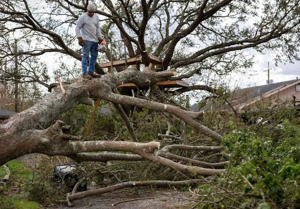 2021年8月30日，在美國(guó)路易斯安那州霍馬，一名男子站在被颶風(fēng)吹倒的大樹(shù)上。新華社發(fā)（尼克·瓦格納 攝）