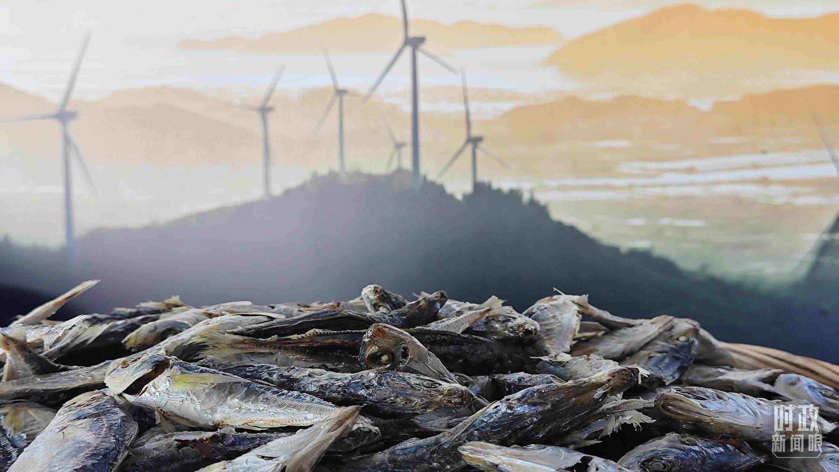 △澳角村的海產(chǎn)品。（總臺央視記者許永松拍攝）