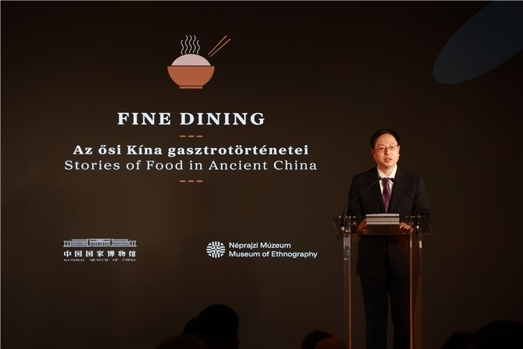 中國國家博物館副館長楊帆致辭。圖片由中國駐匈牙利大使館提供。