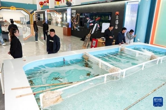 9月20日，游客在吉林省琿春市的帝王蟹保稅店內(nèi)選購帝王蟹。新華社記者 許暢 攝