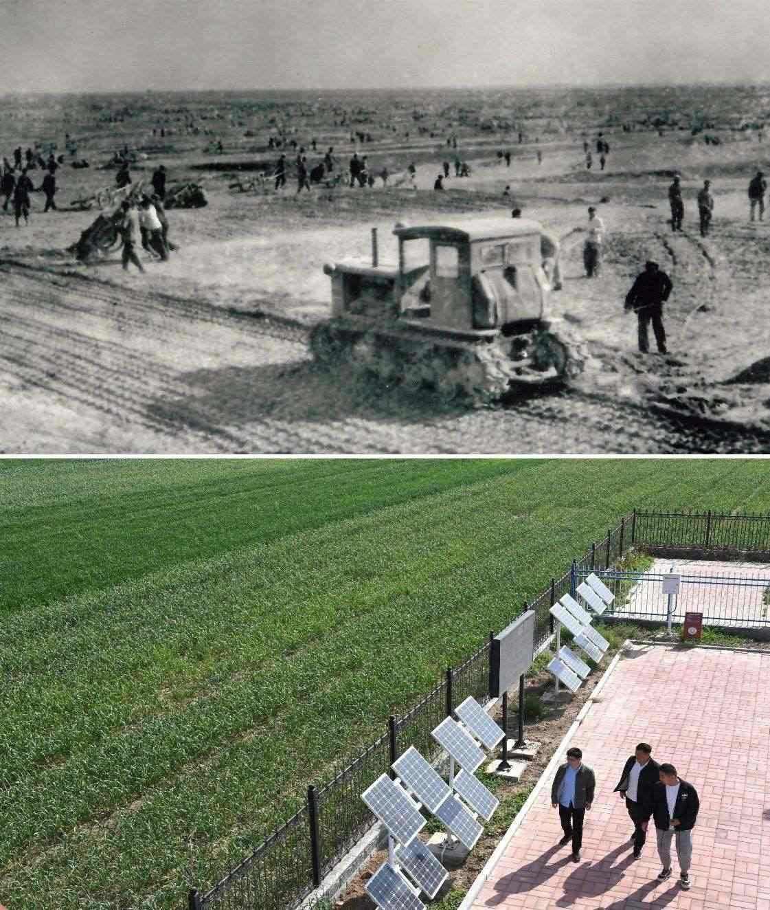 上圖為二十世紀六十年代蘭考改造鹽堿地的情景（資料照片）；下圖為2024年4月18日拍攝的蘭考縣紅廟鎮(zhèn)高標準農田示范區(qū)。（新華社記者 朱祥 攝）