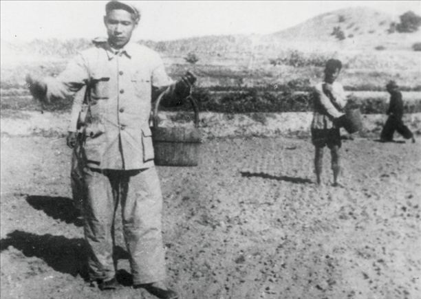 △ 谷文昌在福建省東山縣坑北村參加播種。