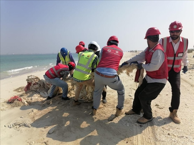中國(guó)電建員工在撿拾海灘垃圾。中國(guó)電建供圖