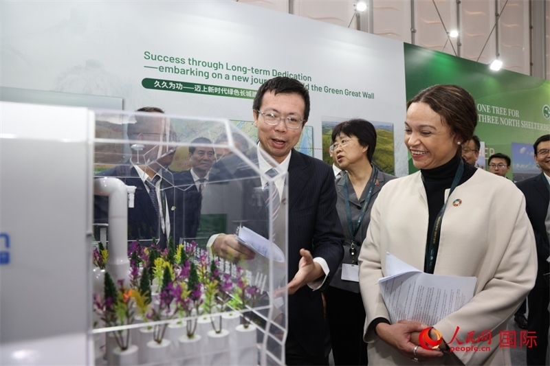 嘉賓參觀中國館。人民網(wǎng)記者任皓宇攝