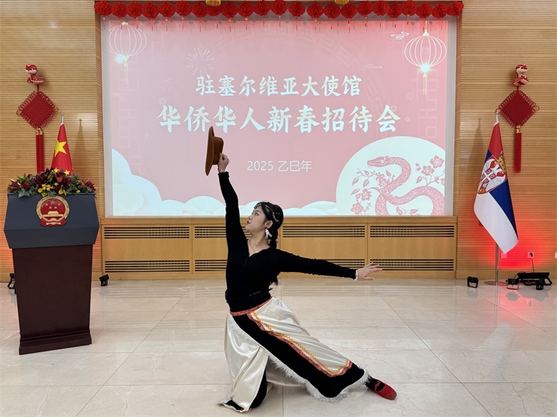 招待會(huì)現(xiàn)場(chǎng)表演。諾維薩德孔子學(xué)院供圖