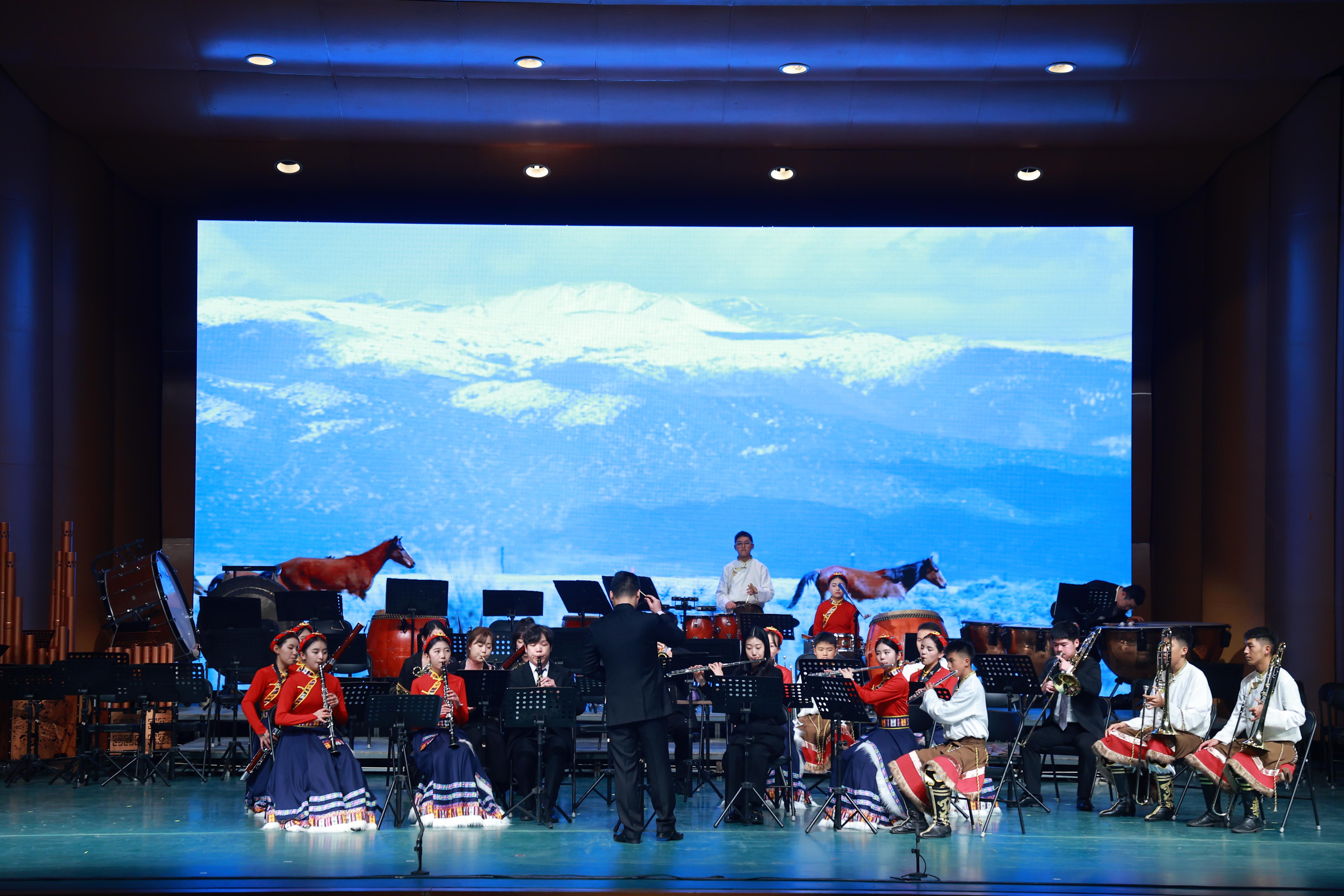 音樂會展演現(xiàn)場。（主辦方供圖）