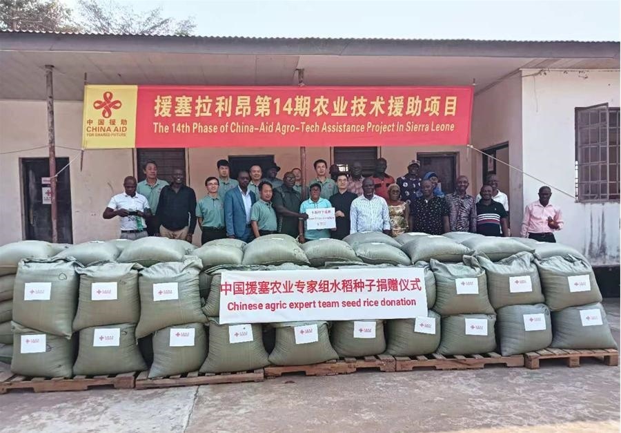 中國援塞拉利昂農(nóng)業(yè)專家組在塞南方省博城舉辦水稻種子捐贈儀式。中國援塞農(nóng)業(yè)專家組供圖