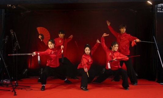 武術(shù)表演。中國(guó)駐芬蘭大使館供圖