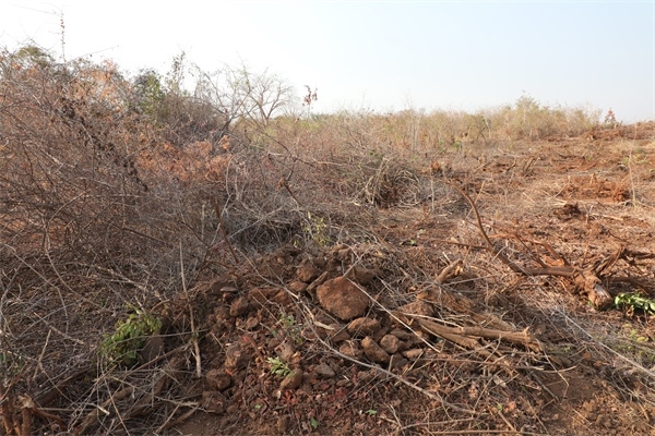 施工現(xiàn)場(chǎng)。張曉昆攝