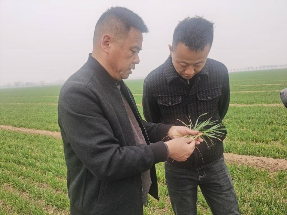 在山東濟(jì)寧汶上縣苑莊鎮(zhèn)，農(nóng)技員黃海龍對種糧大戶王振現(xiàn)場進(jìn)行春耕指導(dǎo)。人民網(wǎng)記者 車柯蒙攝