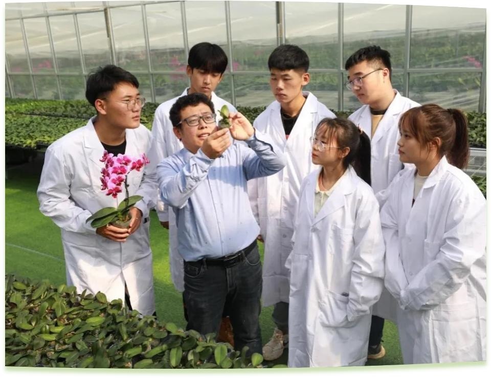 濰坊工程職業(yè)學(xué)院科技創(chuàng)新團(tuán)隊為花卉行業(yè)從業(yè)者作蝴蝶蘭雜交選育技術(shù)指導(dǎo)。學(xué)校供圖