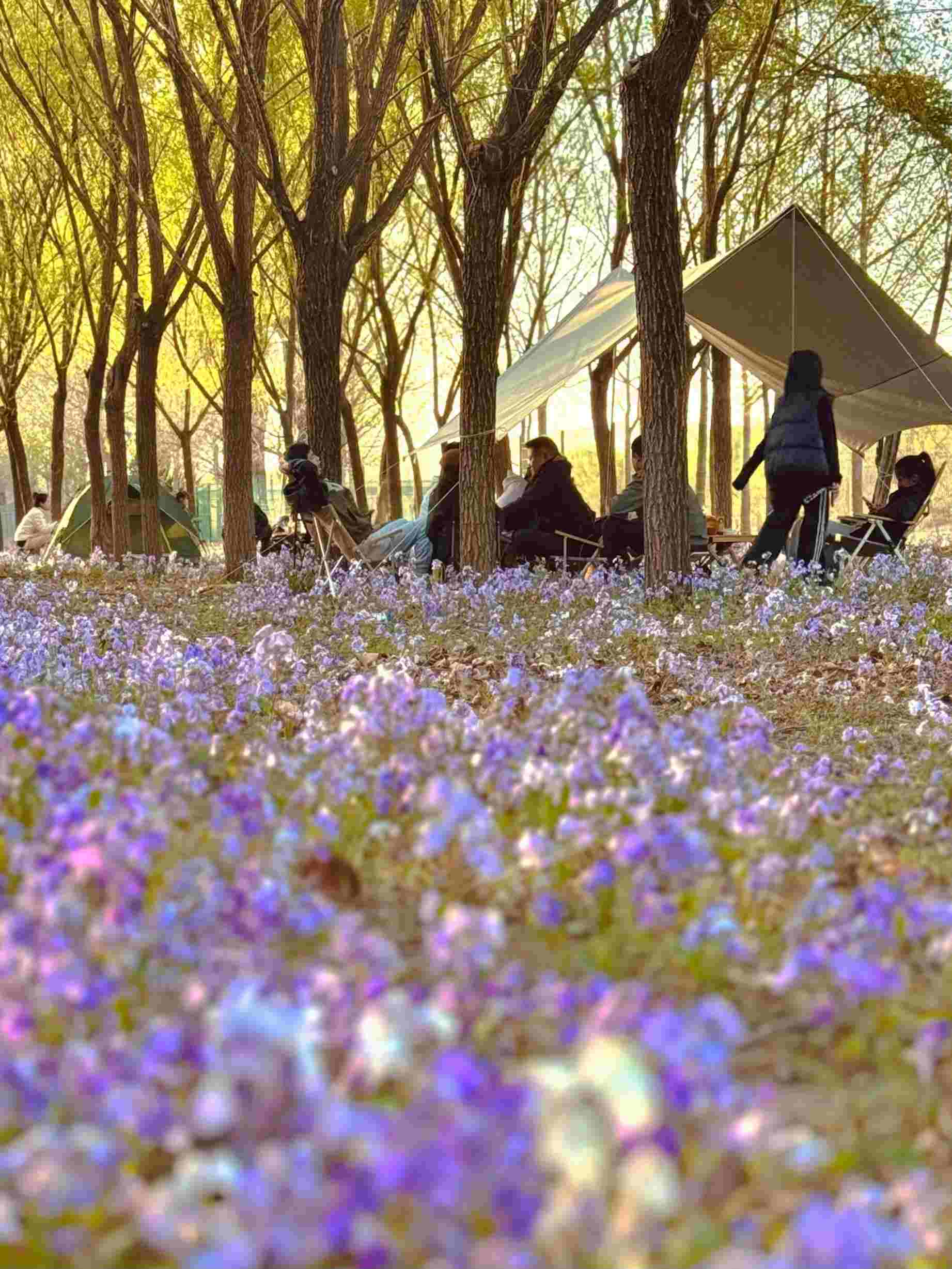 清明假期期間，范女士一家在北京溫榆河邊露營(yíng)。受訪者供圖