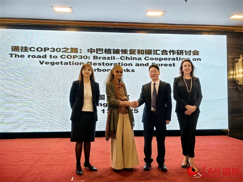 中國國家林業(yè)和草原局副局長李云卿（右二）、巴西環(huán)境和氣候變化部部長瑪麗娜·席爾瓦（左二）、巴西財(cái)政部副部長羅熙丹（右一）、巴西駐華大使館公參樂美（左一）出席“通往COP30之路：中巴植樹造林和碳匯合作研討活動(dòng)”。人民網(wǎng)記者 符園園攝
