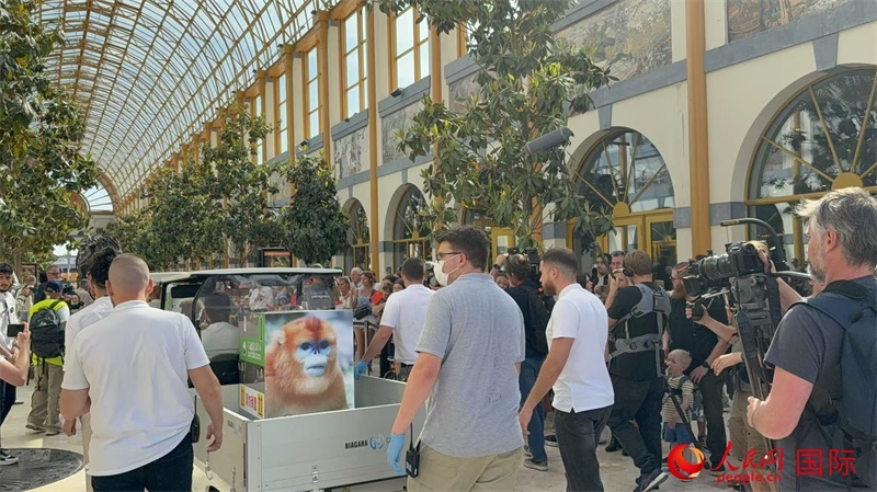 圖為活動(dòng)現(xiàn)場(chǎng)。人民網(wǎng)記者 牛瑞飛攝