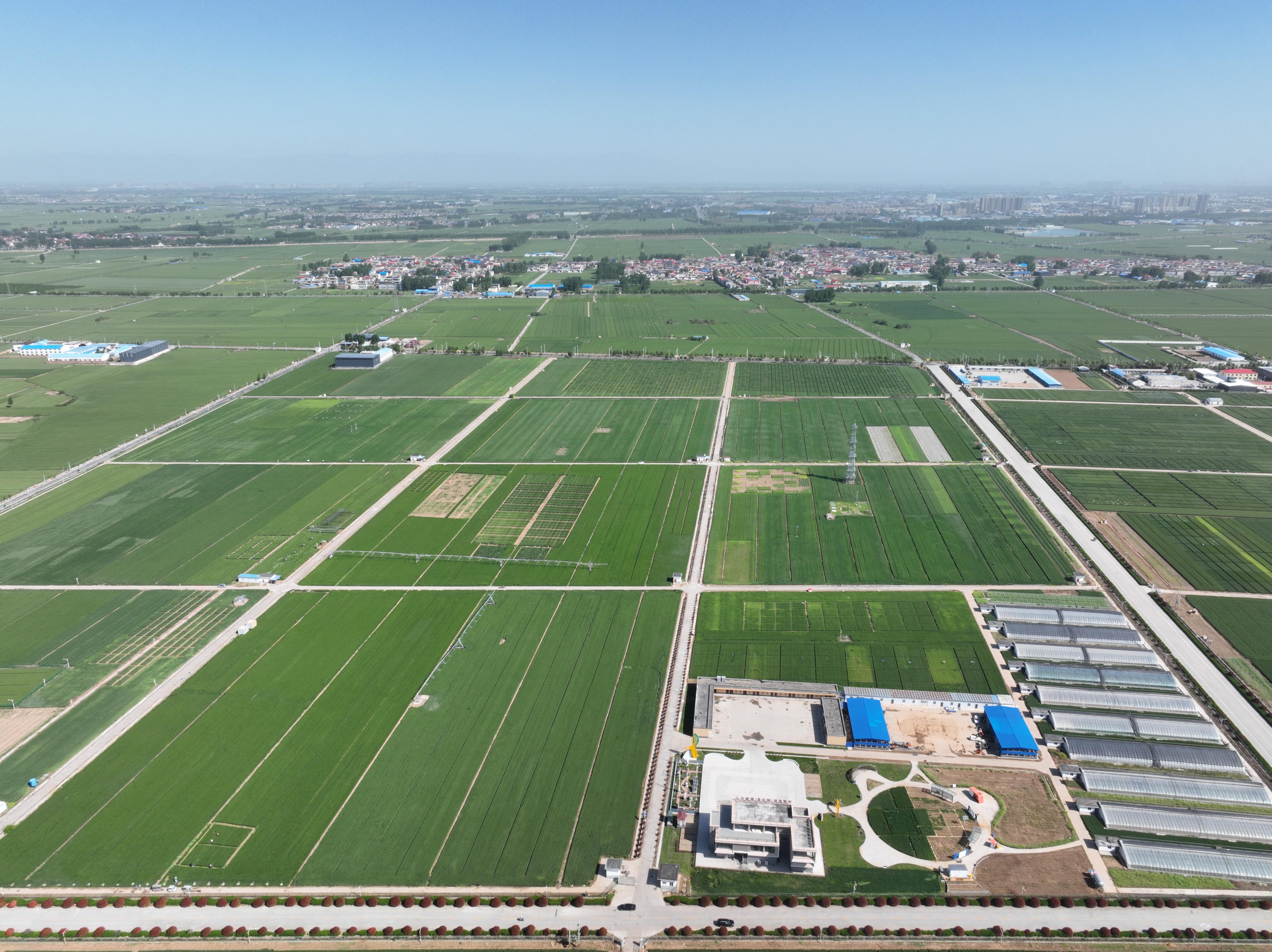 俯瞰水利部灌溉試驗總站試驗研究基地。受訪者供圖