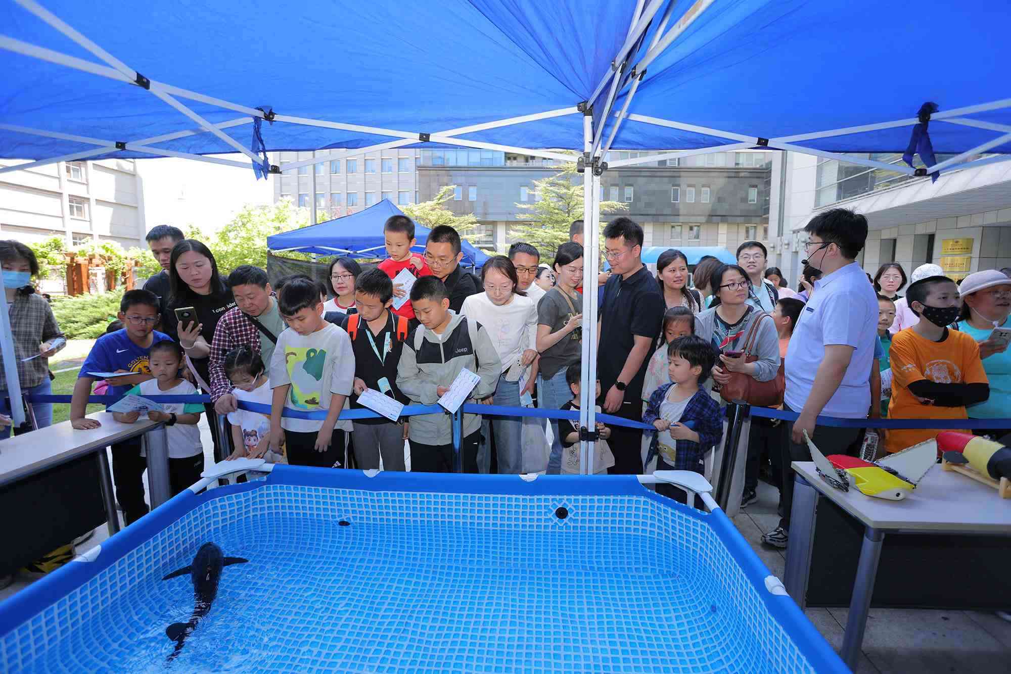 水下仿生機(jī)器魚(yú)在活動(dòng)現(xiàn)場(chǎng)大受歡迎。中國(guó)科學(xué)院自動(dòng)化研究所供圖